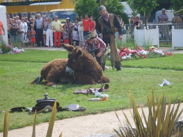 fete 2016 (71).jpg